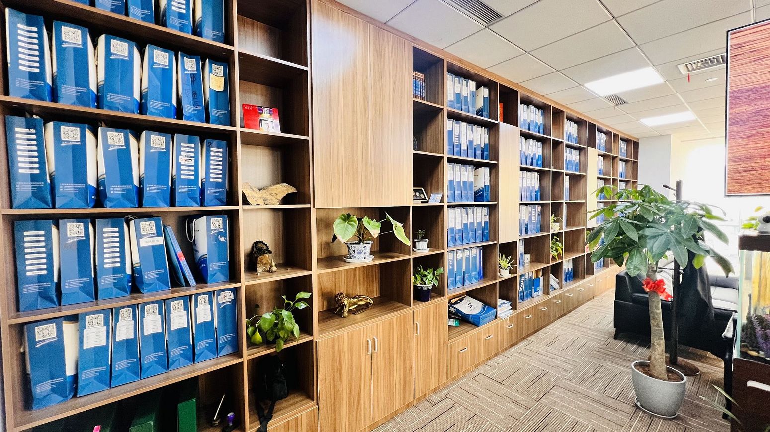 被冒用身份注册为股东法人的解决方法